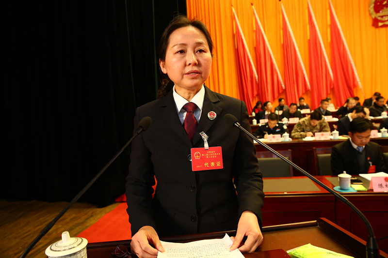 共青城市人民检察院检察长林丹云作工作报告